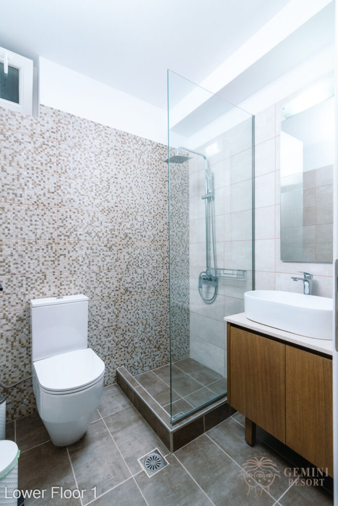 The Bathroom in the Lower floor 1